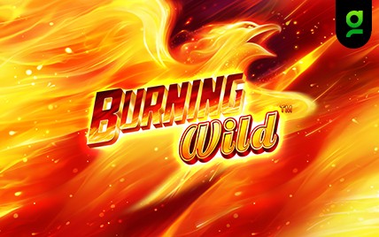 Burning WILD